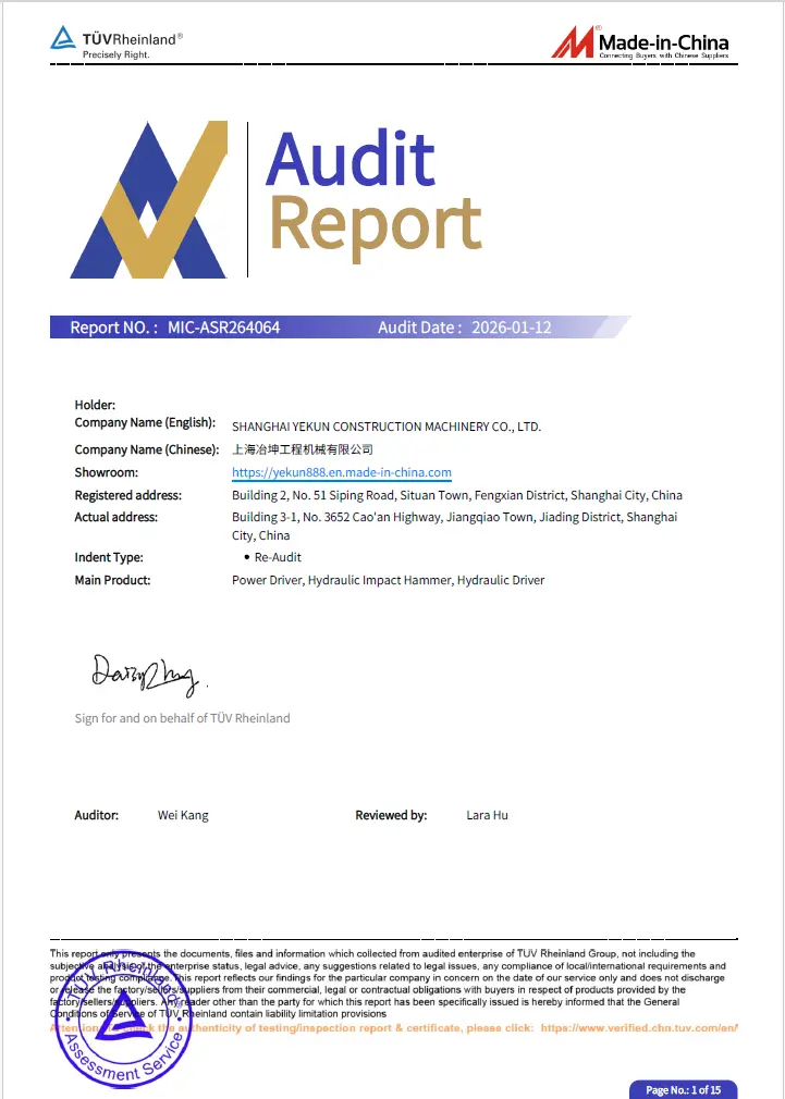 TUV Rheinland audit report, страница 1