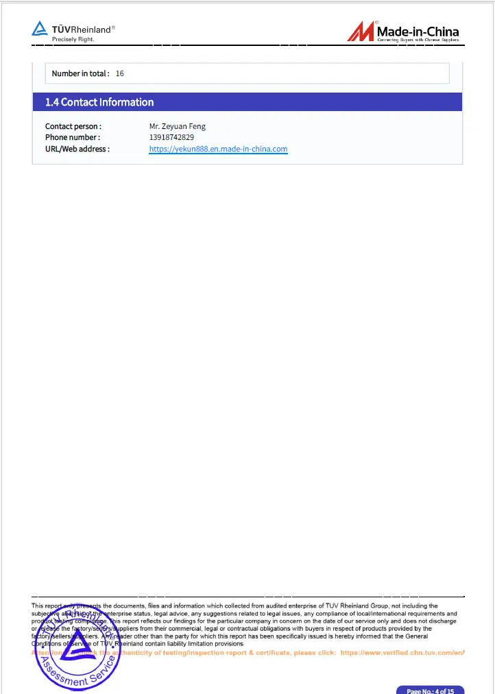 TUV Rheinland audit report, страница 4
