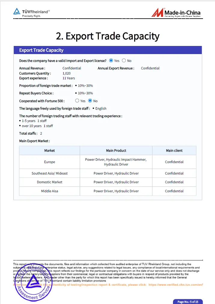 TUV Rheinland audit report, страница 5