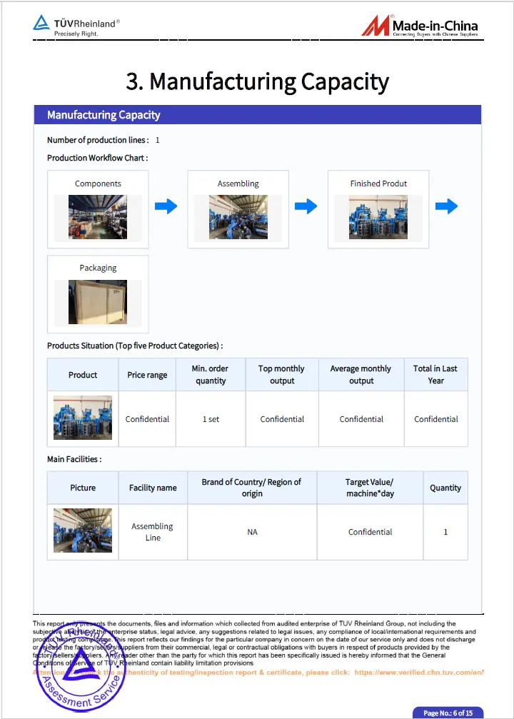 TUV Rheinland audit report, страница 6
